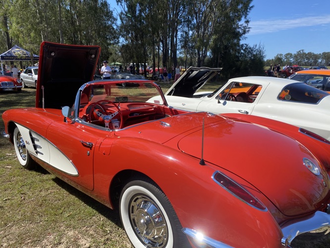 61 Vette from the rear