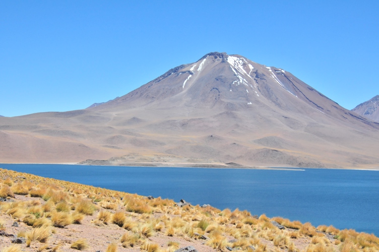 The Miscanti Lagoon is over 4000 metres above sea level! Its an oasis in a sea of yellow, green, brown, red, and even purple