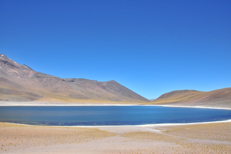 Miscanti Lagoon 