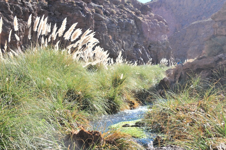 Amazing stream running through a canyon 