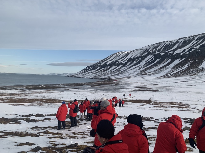 Sea Loins everywhere