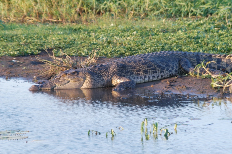 Mt Borradaile day 2 066