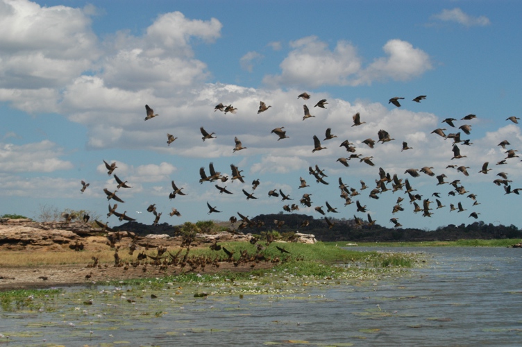 Mt Borradaile Day 3 162