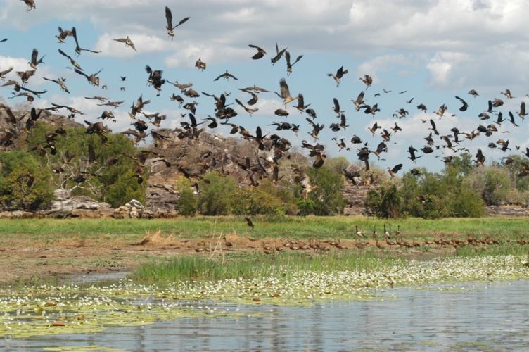 Mt Borradaile Day 3 123