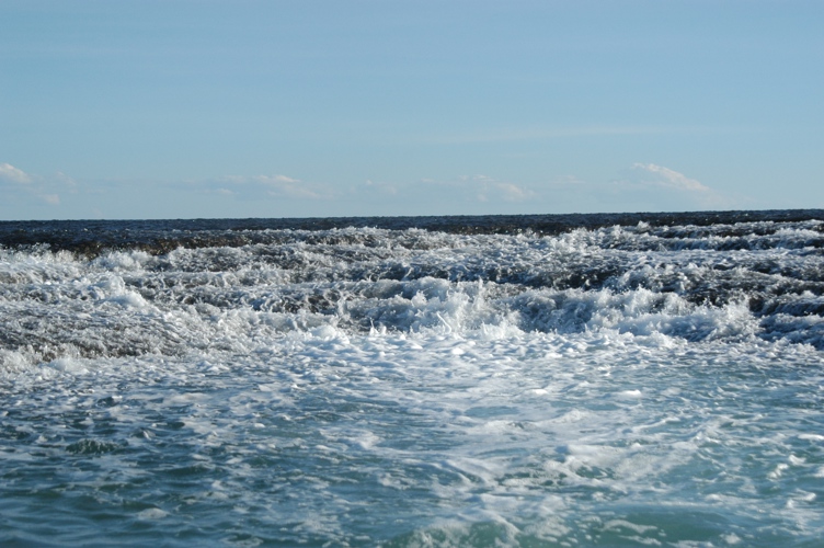 Montgomery Reef is Australia's largest inshore reef, located off the remote Kimberley coast in Western Australia