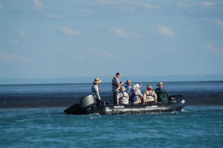 Tide starting to go down