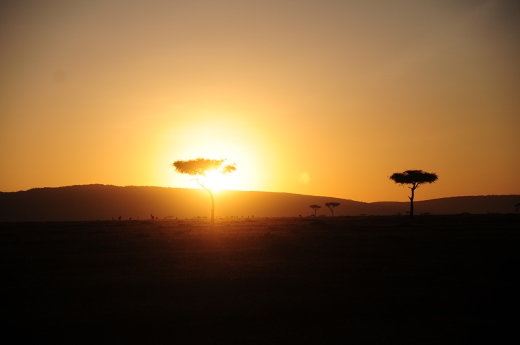 Sunset in the Mara Kenya