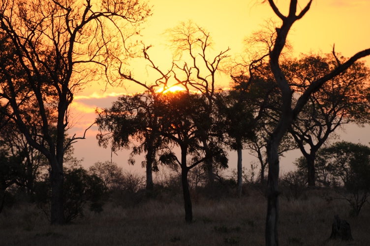 Sun Rise Kruger
